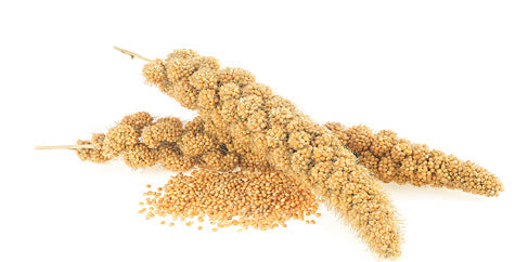 MILLETS KG SIZE